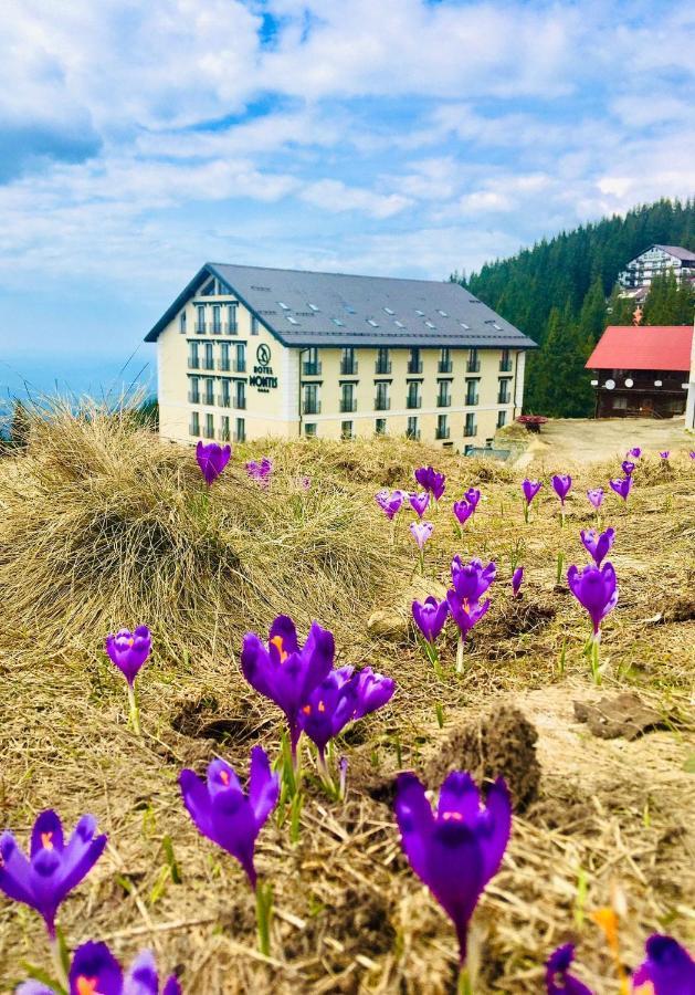 Montis Hotel & Spa Sebesrom Kültér fotó